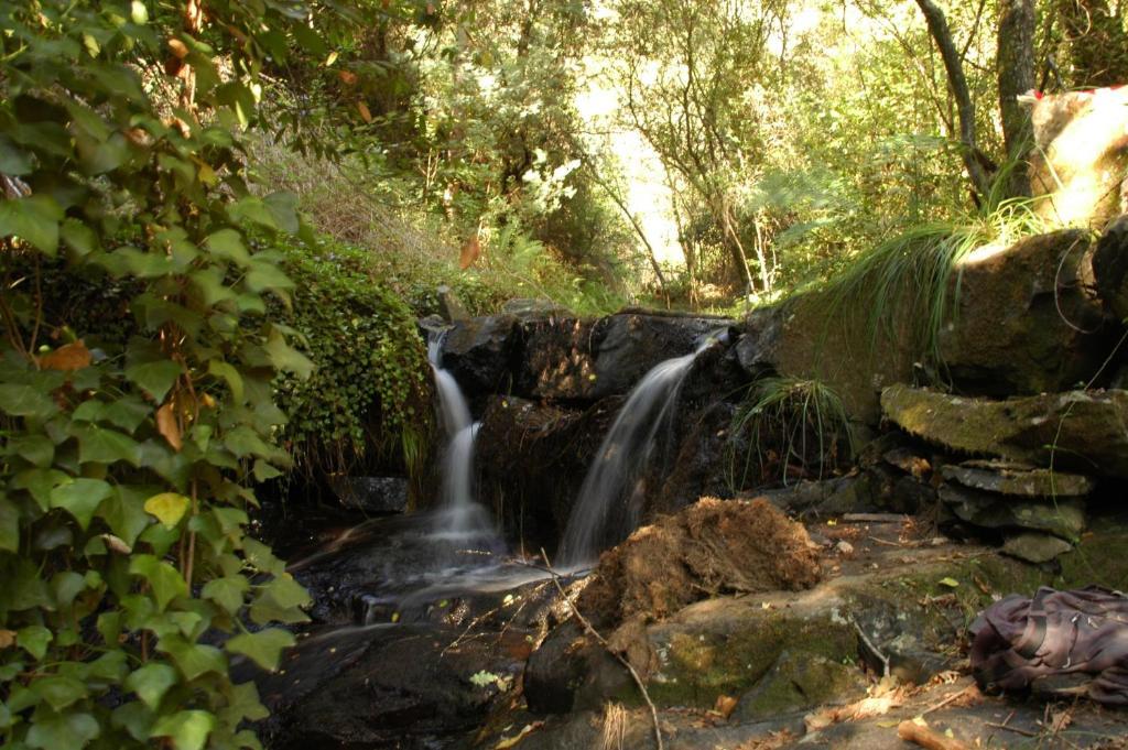 Hotel Rota Malhoa Figueiro Dos Vinhos Bagian luar foto